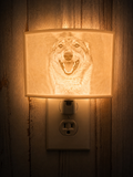 Custom Night Light
