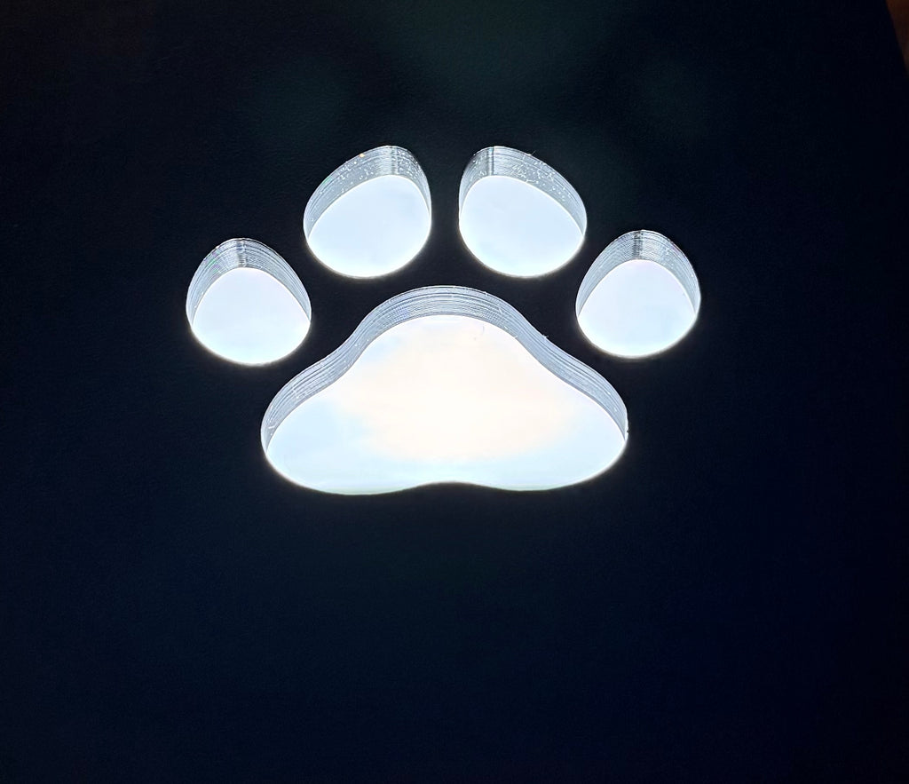 Paw print in lid of lithophane
